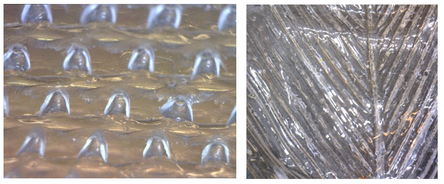 Figure 1: (a) Nafion Bump Pattern Casting (850 µm x 1000 µm tall), (b) Feather Pattern Nafion (150 µm side branches, 250 µm center stem), (c) deflection responses of fabricated un-patterned Nafion-Pt IPMC actuators under 1, 2 and 3V DC loads.